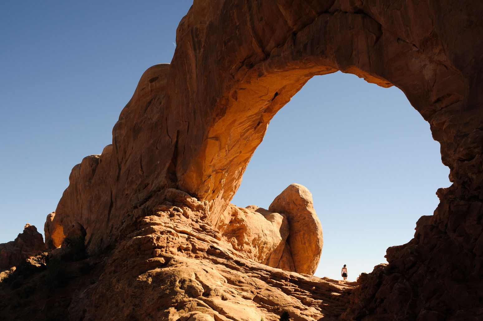 The Windows Section, Arches NP, Arizona, USA